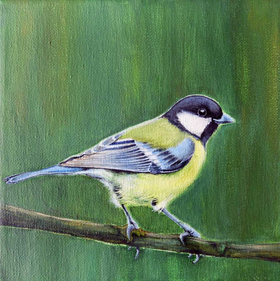 <q>Great tit</q>, acrylics on canvas