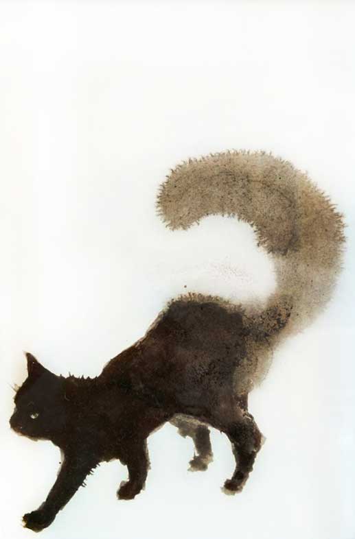 <q>Black cat</q>, india ink