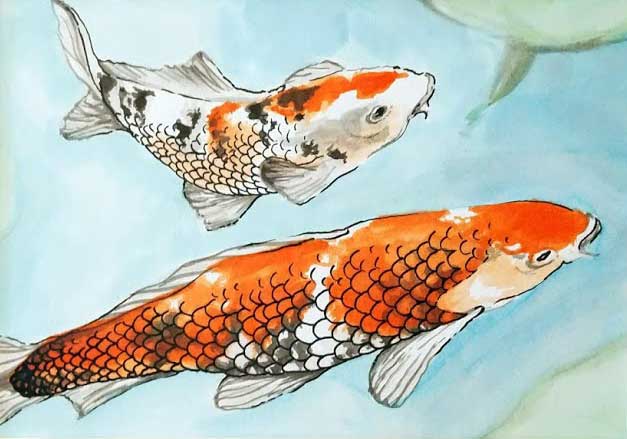<q>Koi carps</q>, fineliner, ecoline and watercolour